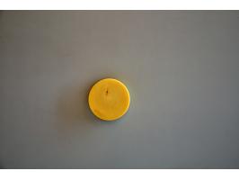 Muntbenodigdheden Oud ivoren schroefdoosje doorsnede 53mm voor twee penningen