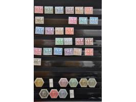 Image for Auctions 237-238 - 2771
