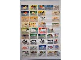 Bild für Auctions 237-238 - 2793