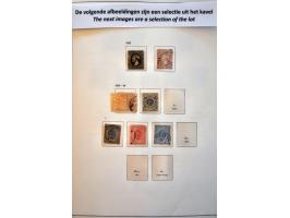 collectie 1852-1981 met betere ex. en series in Davo album