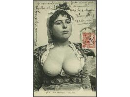 Image for Auctions 239-240 - 2627