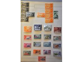 Bild für Auctions 239-240 - 3622
