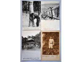 Afbeelding voor Auctions 242-243 - 2575
