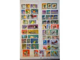 Image for Auctions 242-243 - 270