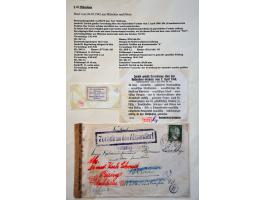 Image for Auctions 242-243 - 2954