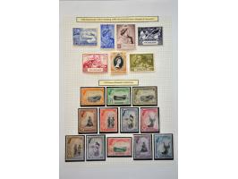 Image for Auctions 242-243 - 3038
