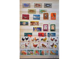 Image for Auctions 242-243 - 588