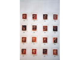 Image for Auctions 242-243 - 685
