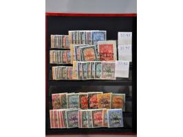 Image for Auctions 242-243 - 803