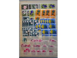 Bild für Auctions 242-243 - 860