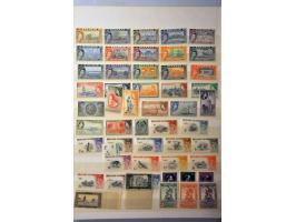 with many better ex. a.o. German Colonies, Belgium, Italy, France, British Commonwealth, etc. in stockbook