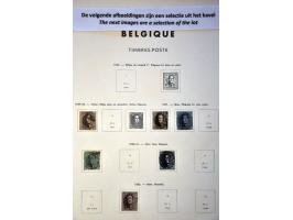 Bild für Auction 244 - 466