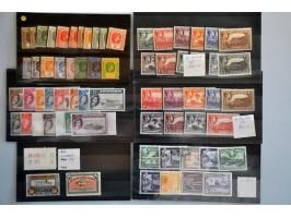 Bild für Auction 244 - 710