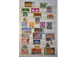 Image for Auction 244 - 818