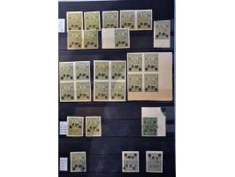 Bild für Auction 244 - 893