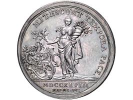 Historiepenningen 's-Hertogenbosch - Stadhuispenning zilver 1748 Snoeck 65 bijna PR