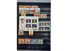 Bild für Auction 250-253 September 2021 - 1118