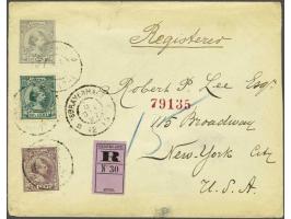 22½ cent zwartgroen en 25 cent lila op aangetekende envelop G. 7 van Den Haag 8-12-1897 naar New York, totaal frankering 60 c