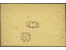 Coat of Arms 15 kreuzer brown lithographic printing type B perforated 10½ on registered cover from the Serbian Library in Ban