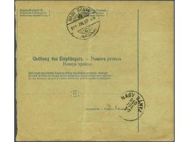 Landscapes 40 heller orange in pair with Coleman perforation on parcel card from Banja Luka 14-7-1910 to Nagy Banya (Hungary)
